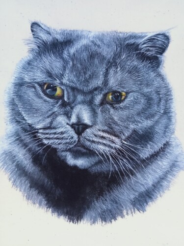 Peinture intitulée "Portrait of a cat a…" par Antonina Pavlic, Œuvre d'art originale, Acrylique