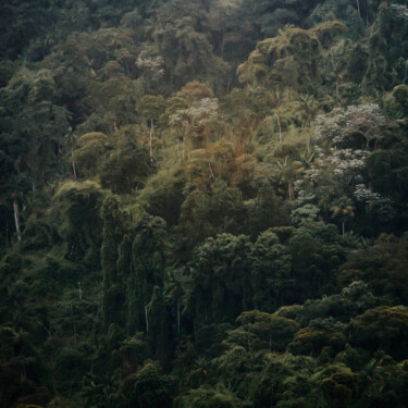 摄影 标题为“Mantiqueira Ridge IX” 由Antonio Schubert, 原创艺术品, 数码摄影