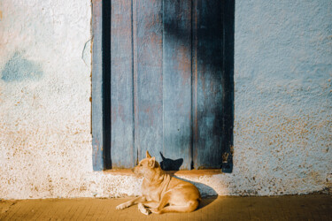 「Bahia」というタイトルの写真撮影 Antonio Schubertによって, オリジナルのアートワーク, デジタル