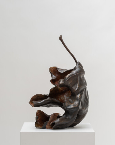 Sculpture titled "Edenismi (édénismes)" by Antonio Tropiano, Original Artwork, Bronze