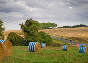 Skulptur mit dem Titel "D14, Land Art ballo…" von Applestrophe, Original-Kunstwerk, Stoff