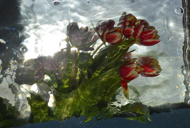 Photographie intitulée "tulipes...." par Aquartistiq, Œuvre d'art originale, Photographie numérique