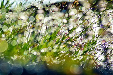 Photographie intitulée "apres  la pluie....…" par Aquartistiq, Œuvre d'art originale, Photographie numérique