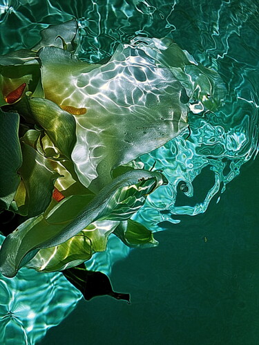 Photographie intitulée "mélange d'arums" par Aquartistiq, Œuvre d'art originale, Photographie numérique
