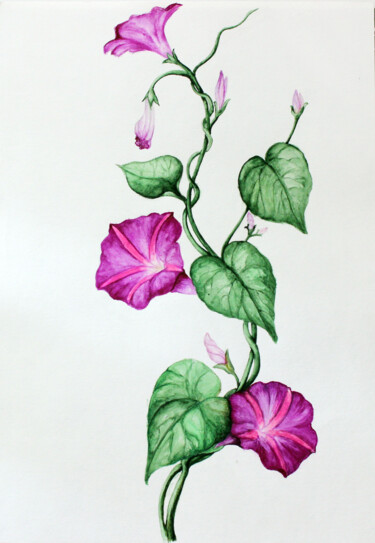 Painting titled "Morning glory" by Arevik Avetisyan, Original Artwork, Watercolor