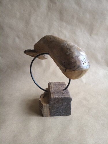 Skulptur mit dem Titel "La balena del bosco" von Ariadne Dombrovszki, Original-Kunstwerk, Holz