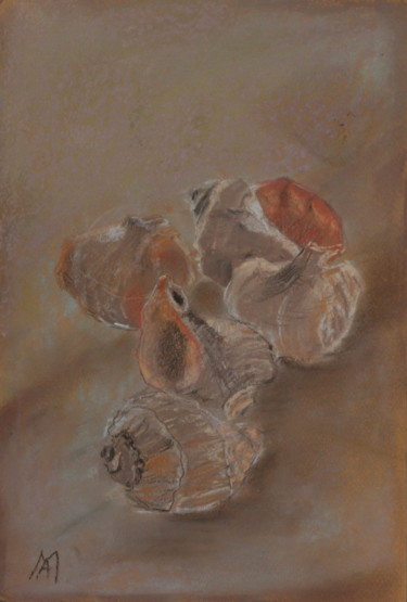 Schilderij getiteld "Shells (Coquilles)…" door Arina Ioana Muntean, Origineel Kunstwerk, Pastel