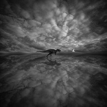 Фотография под названием "Луч света в тёмном…" - Аркадий Смирнов, Подлинное произведение искусства, Манипулированная фотогра…