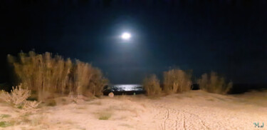 Fotografia intitulada "Moonlight on the wi…" por Armajay, Obras de arte originais, Fotografia digital