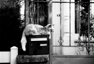 Photographie intitulée "I am waiting for yo…" par Arnaud Dubois, Œuvre d'art originale, Photographie argentique