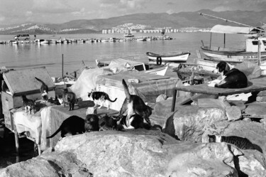 Photographie intitulée "Le chien ne fait pa…" par Arnaud Dubois, Œuvre d'art originale, Photographie argentique