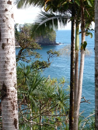 Fotografie mit dem Titel "Hawaii" von Arnaud Thévenin, Original-Kunstwerk