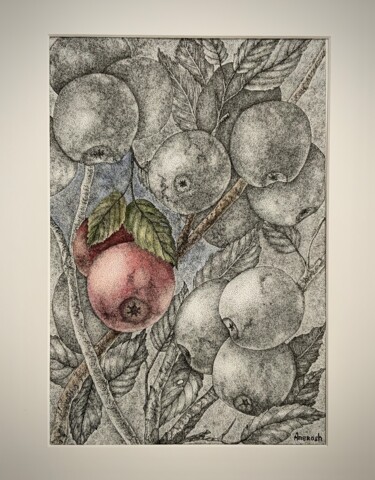 Drawing titled "Branche de pommier" by Anerosh, Original Artwork, Ink Mounted on Other rigid panel