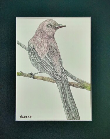 Drawing titled "Series Bird 2" by Anerosh, Original Artwork, Ink Mounted on Other rigid panel