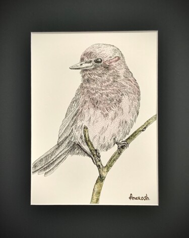 Drawing titled "Series Bird 3" by Anerosh, Original Artwork, Ink Mounted on Other rigid panel