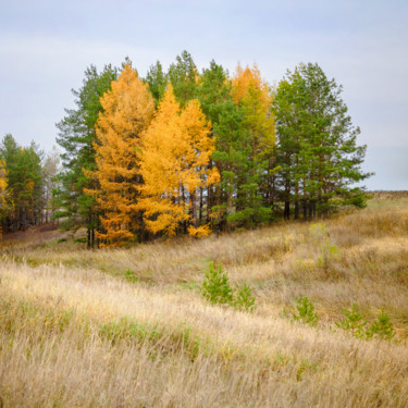 Фотография под названием "Autumn landscape" - Artcomma, Подлинное произведение искусства