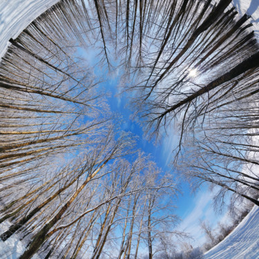 Фотография под названием "Winter park, round…" - Artcomma, Подлинное произведение искусства