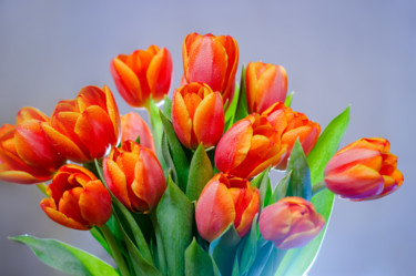 Фотография под названием "Bouquet of red tuli…" - Artcomma, Подлинное произведение искусства