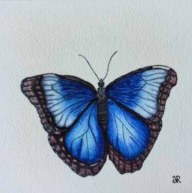 Rysunek zatytułowany „Morpho Bleu” autorstwa Noémie Richard, Oryginalna praca, Ołówek