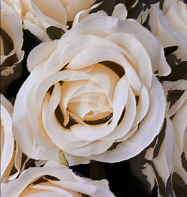 Grafika cyfrowa / sztuka generowana cyfrowo zatytułowany „Roses” autorstwa Art Moé, Oryginalna praca, Fotomontaż