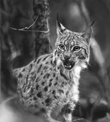 Grafika cyfrowa / sztuka generowana cyfrowo zatytułowany „Lynx” autorstwa Aryaneire, Oryginalna praca, Malarstwo cyfrowe