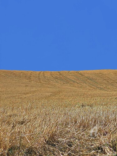 Photographie intitulée "PASTA AL DENTE • MA…" par Astr, Œuvre d'art originale, Photographie non manipulée Monté sur Aluminium