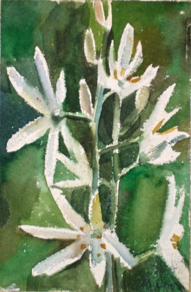 Pittura intitolato "Fleurs blanches" da Nathalia Chipilova, Opera d'arte originale, Acquarello