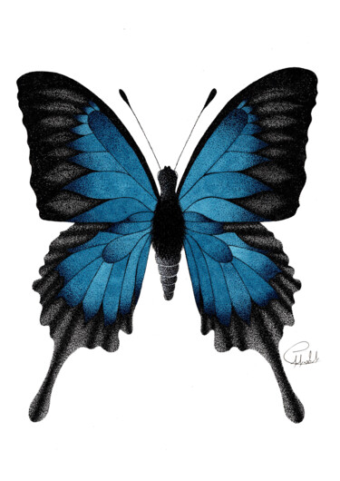 Рисунок под названием "Papillon Ulysse" - Audrey Lafolie (Ondine), Подлинное произведение искусства, Чернила