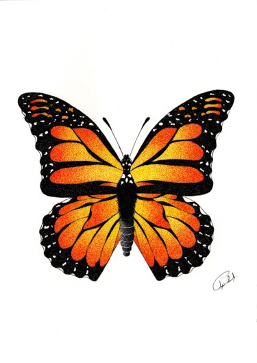 Tekening getiteld "Papillon Monarque" door Audrey Lafolie (Ondine), Origineel Kunstwerk, Inkt