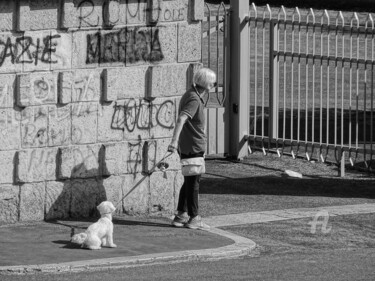 Fotografía titulada "Le chien n'en veut…" por Aurelio Nicolazzo, Obra de arte original, Fotografía digital