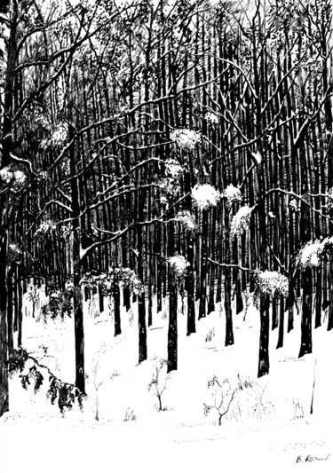 Рисунок под названием "Mother Nature's Win…" - Владимир Абаимов, Подлинное произведение искусства, Чернила