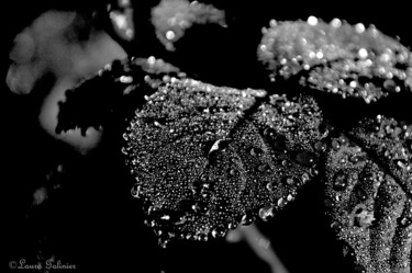 Photographie intitulée "Après la pluie 6" par Laura Galinier (Azalé Photo), Œuvre d'art originale