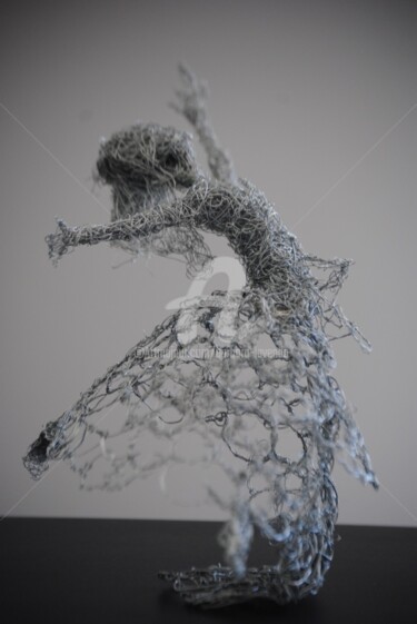 雕塑 标题为“suspension dans l'i…” 由Barbara Lavenda, 原创艺术品, 金属