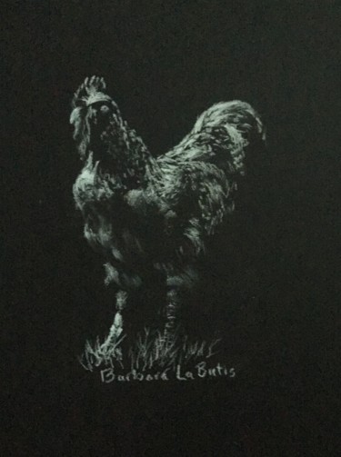 제목이 "Rooster"인 그림 Barbara Labutis로, 원작, 숯