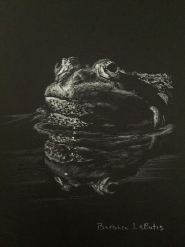 Dibujo titulada "Frog" por Barbara Labutis, Obra de arte original, Carbón