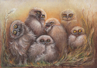 Σχέδιο με τίτλο "Big Burrowing Owl F…" από Barbara Orsolini, Αυθεντικά έργα τέχνης, Παστέλ
