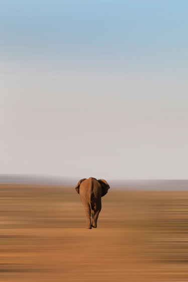 Photography titled "Returning elephant" by Bart Debo, Original Artwork, Digital Photography