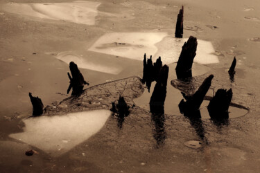 Fotografia intitolato "Ice Wood And Water" da Bavosi Photoart, Opera d'arte originale, Fotografia digitale