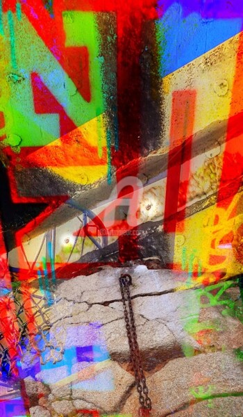 Arts numériques intitulée "Street âne" par Bazoocat, Œuvre d'art originale, Photo montage