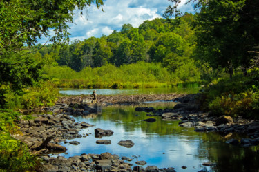 Fotografía titulada "Beaver Dam on a Mou…" por Nathan Bickel, Obra de arte original, Fotografía digital