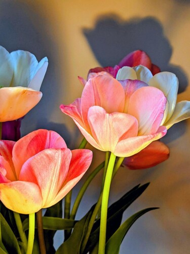 Photography titled "Tulipes du soir" by Béatrice Marie Penaud, Original Artwork, Digital Photography