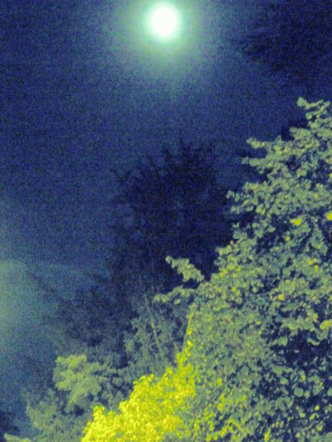 Fotografia intitulada "Clair de lune" por Béatrice Marie Penaud, Obras de arte originais, Fotografia digital