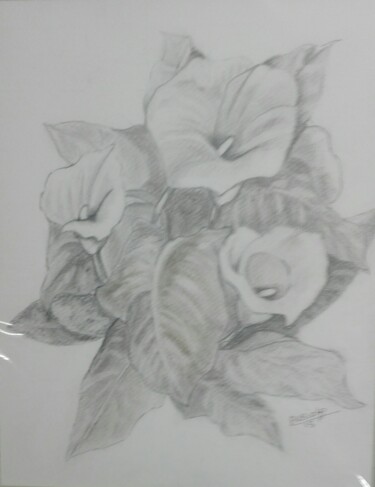 Drawing titled "arums en gris et bl…" by Beatrice Auriol Besombes, Original Artwork, Pencil