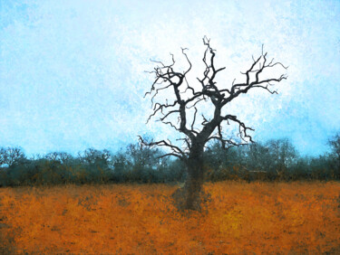 Peinture intitulée "L'arbre mort" par Eric Belin, Œuvre d'art originale, Peinture numérique