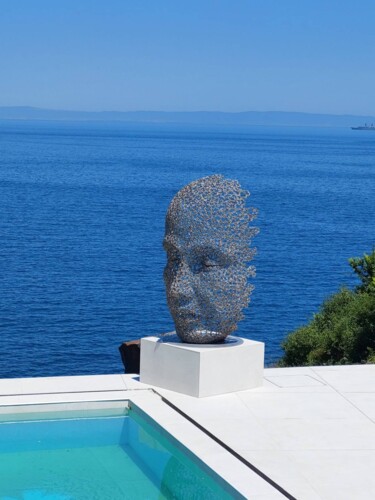 雕塑 标题为“Escultura única” 由Beni, 原创艺术品, 不锈钢