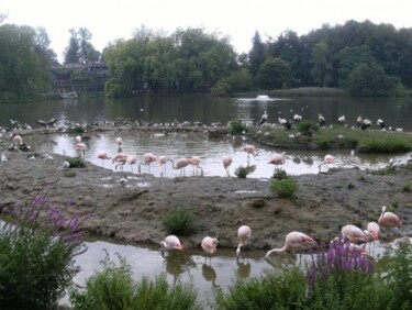 Photography titled "Pairi Daiza - anima…" by Benoît Laval, Original Artwork