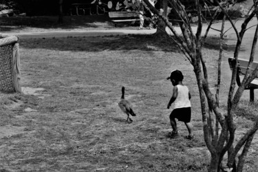 "Duck Hunt" başlıklı Fotoğraf Bernard Best tarafından, Orijinal sanat, Dijital Fotoğrafçılık