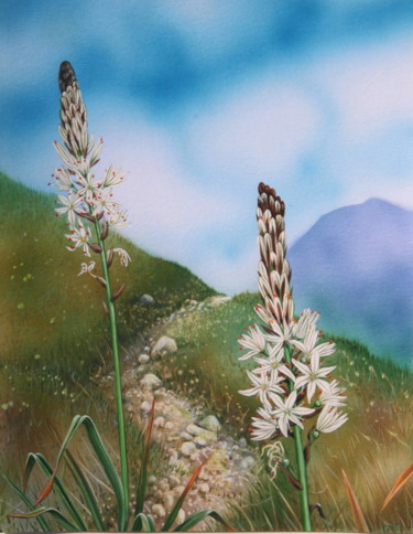 Painting titled "Flore des Pyrénées…" by Bernard Domange, Original Artwork, Acrylic