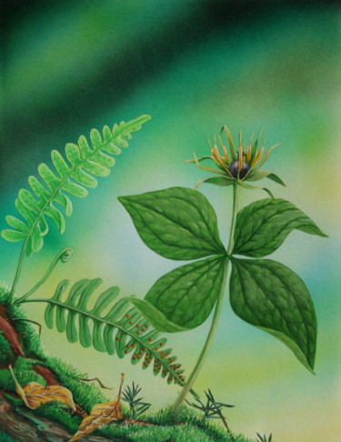 Peinture intitulée "Flore des Pyrénées…" par Bernard Domange, Œuvre d'art originale, Acrylique