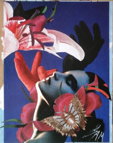 Collages intitolato "LADY BUTTERFLY" da Sam De Beauregard, Opera d'arte originale, Collages Montato su Pannello di legno